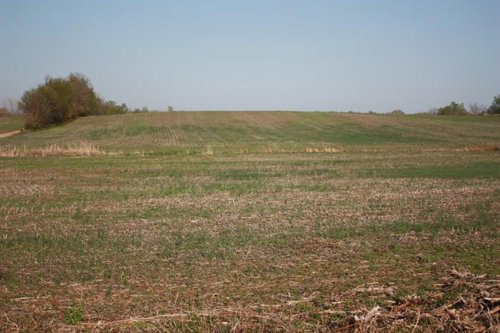 Property photo 2 - 641 Acres Offered in 16 Tracts - 545 Cropland Acres